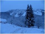 Grahovše - Planina Zgornja Konjščica